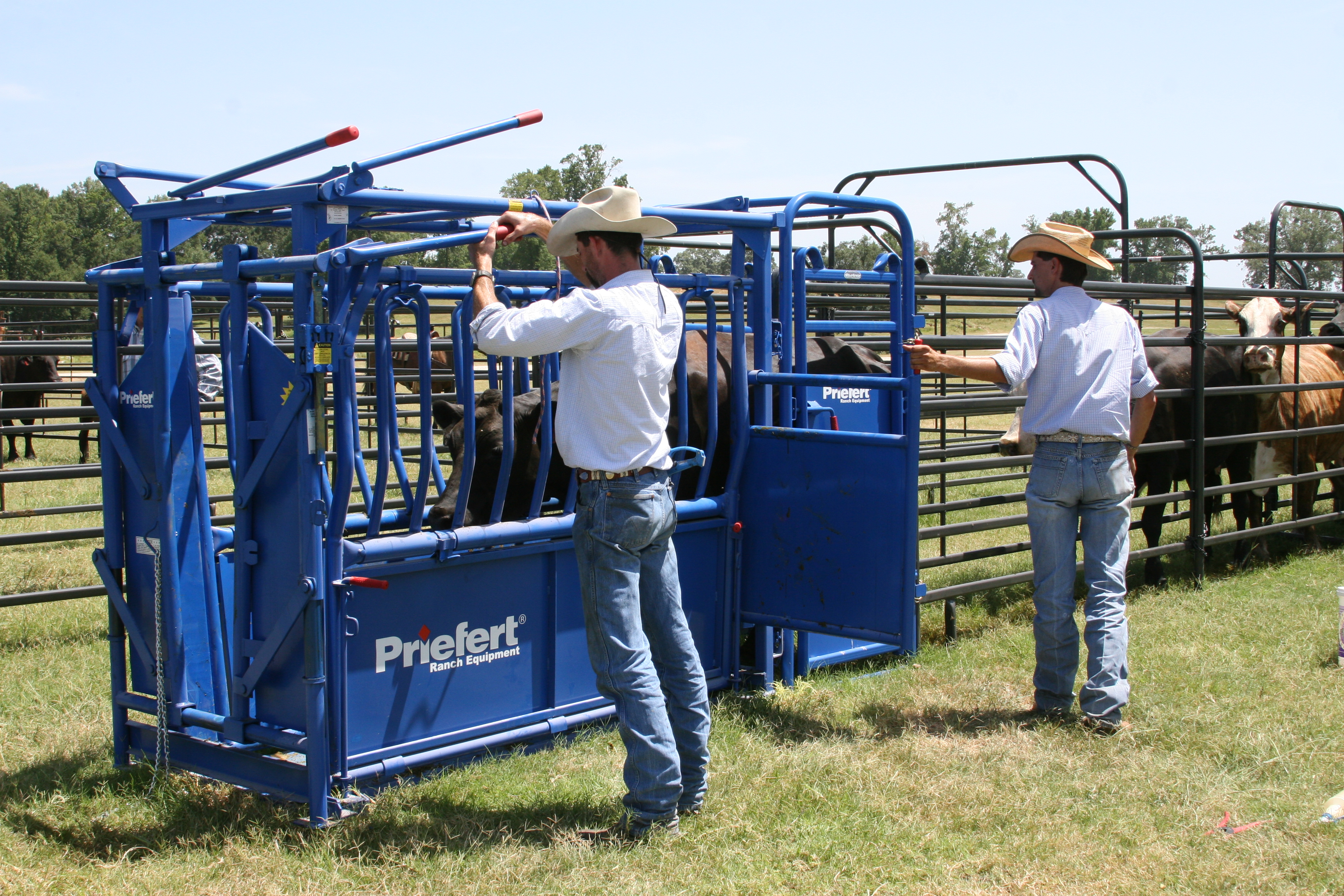 Squeeze Chute S01 17.JPG